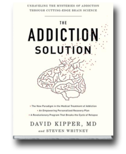 Addiction Solution Book